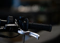 Prickly Brake Lever - LBX