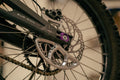 Prickly Disc Guard Fin