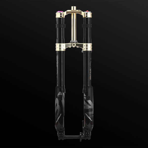RFloXa Hawk31 Max (Gold)