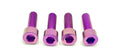 Axle Pinch Titanium Bolts for EMOTO