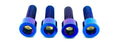 Axle Pinch Titanium Bolts for EMOTO