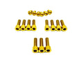 Titanium Manitou Dorado Fork Bolt Kits