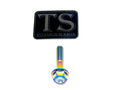 Altis Sigma Gearbox Cover Titanium Bolt Kit