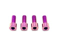 Talaria XXX Seat Subframe Titanium Bolts (4)