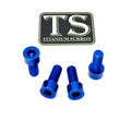 Axle Pinch Titanium Bolts for EMOTO