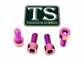 Axle Pinch Titanium Bolts for EMOTO