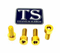 Axle Pinch Titanium Bolts for EMOTO