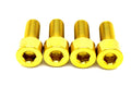 Titanium Bash Guard/ Skid Plate Bolts - Surron LBX and Segway (Set of 4)