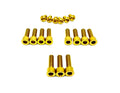 Titanium EXT Ferro Fork 11/17 Piece Bolt Kits
