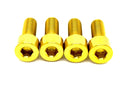 Titanium Peg Bracket Bolts - Surron, Talaria, E-Ride (Set of 4)